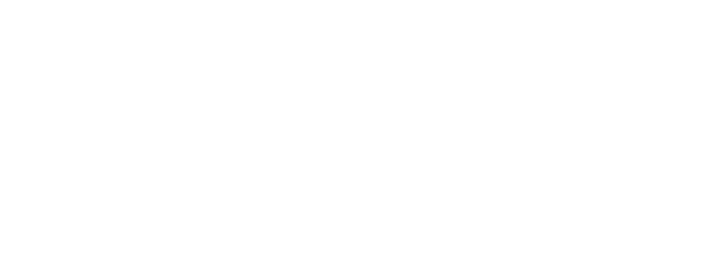RISE Logo - linked to this site's homepage